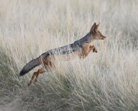 Foot On Kilimanjaro Adventure-莫西必去景点