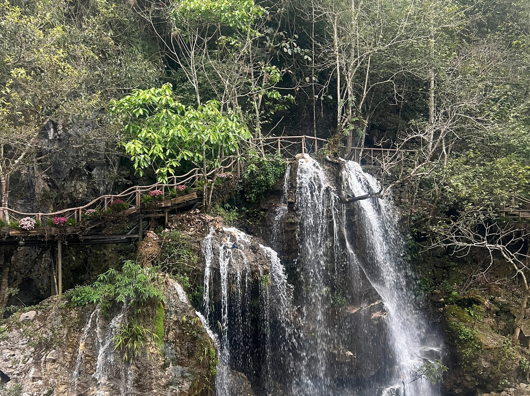 Sapa Farmstay主图