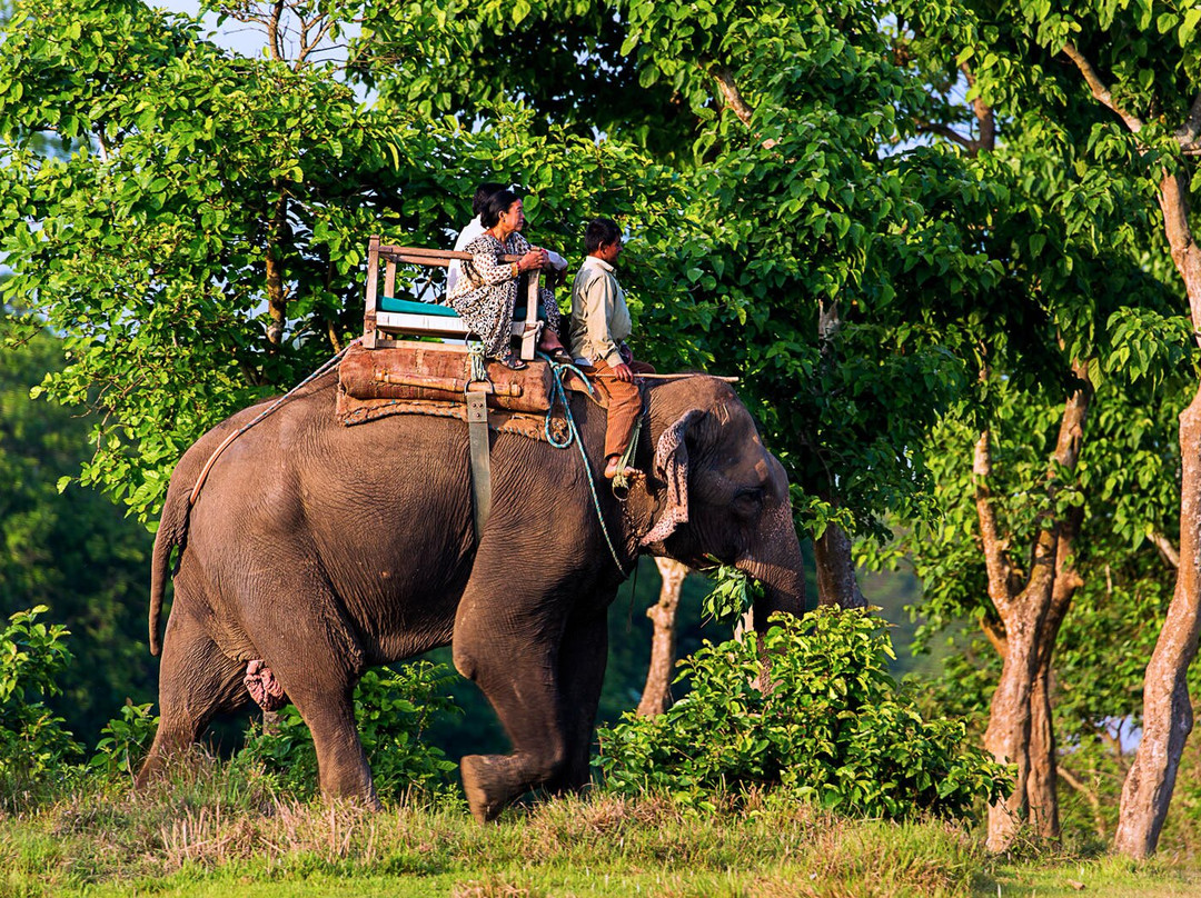 Chitwan National Park-苏拉哈必去景点