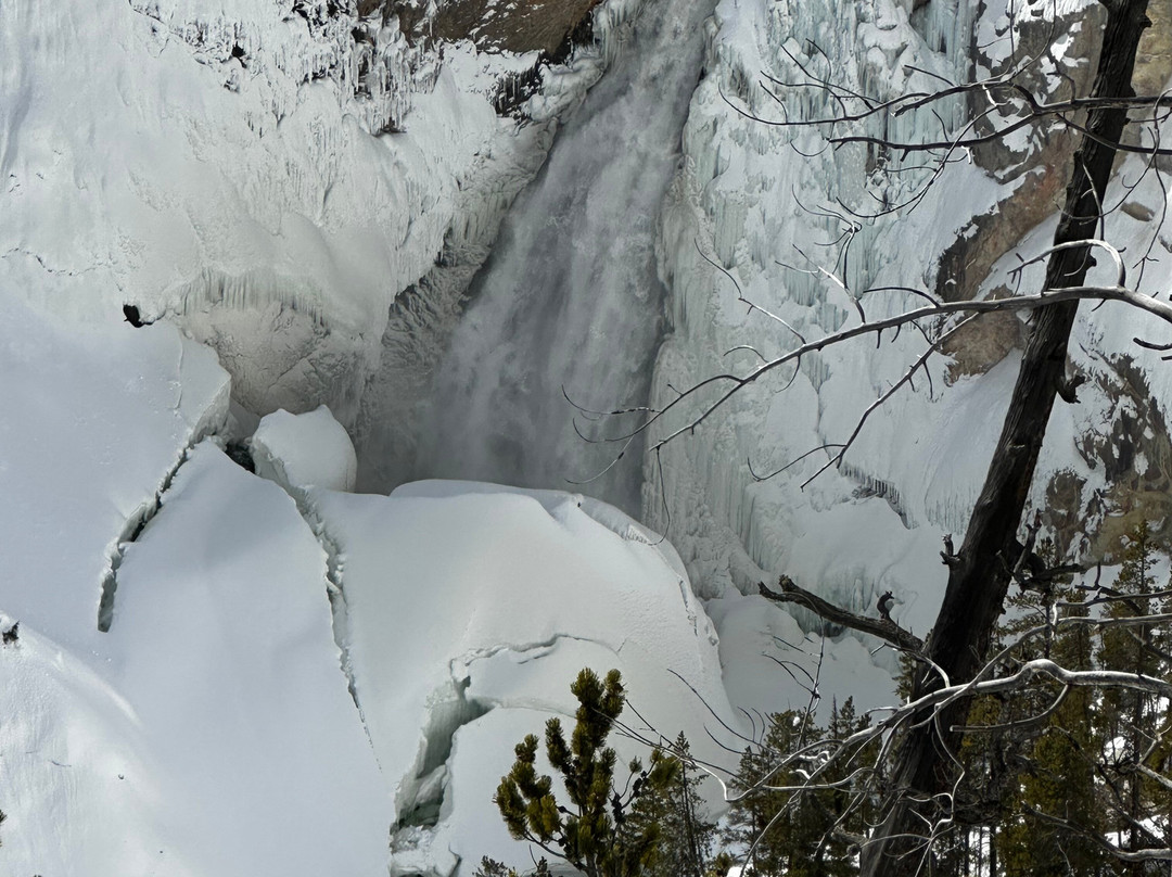 Old Faithful Snowmobile Tours - Day Tours-杰克逊必去景点