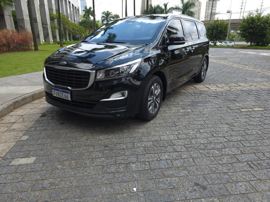 SPDrive Executive Car Service-圣保罗必去景点