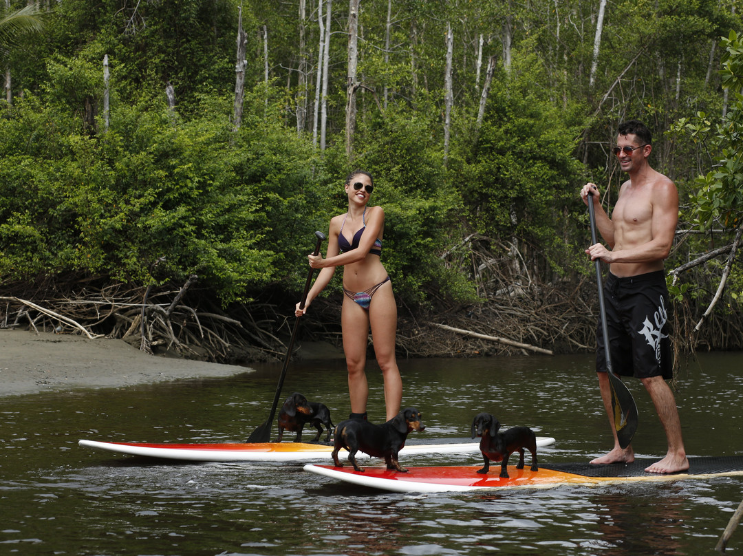 Vista Celestial主图