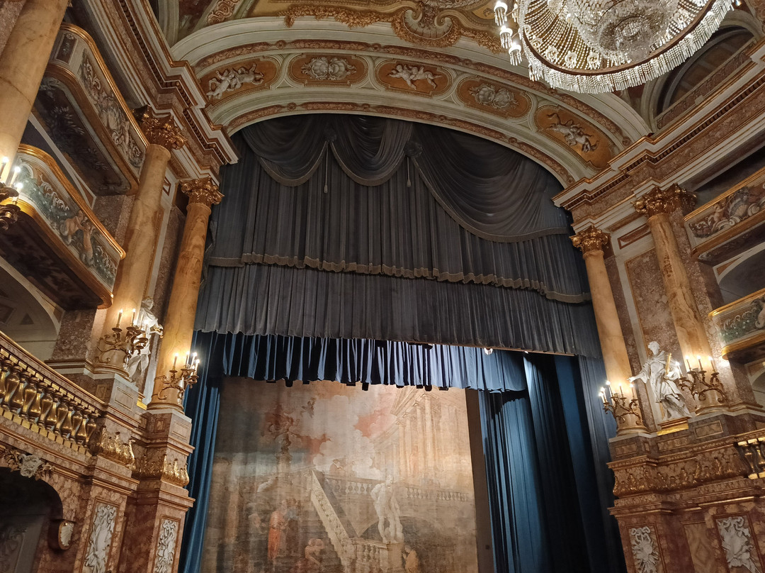 Teatro di Corte景点图片