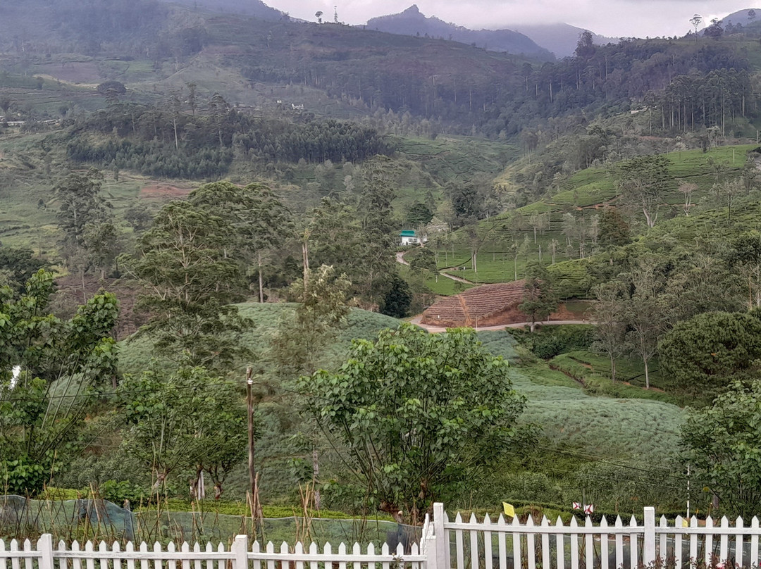 阿马亚兰达乐酒店主图