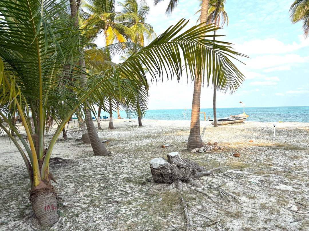 Coral Paradise Beach Resort主图