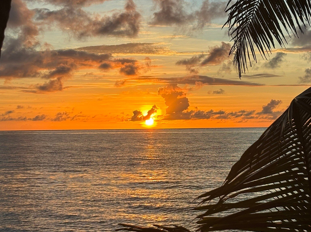 Gold Coast Inn主图