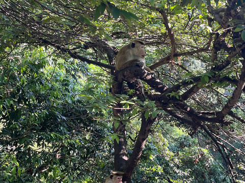 HNG Ceylon Tours-科伦坡必去景点