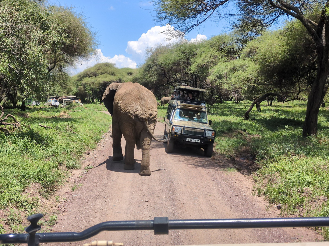 Safaris-R-Us-阿鲁沙必去景点