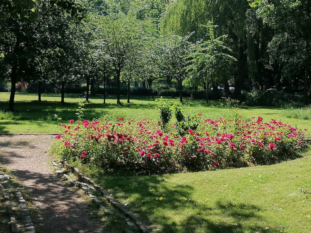 parc Albert
