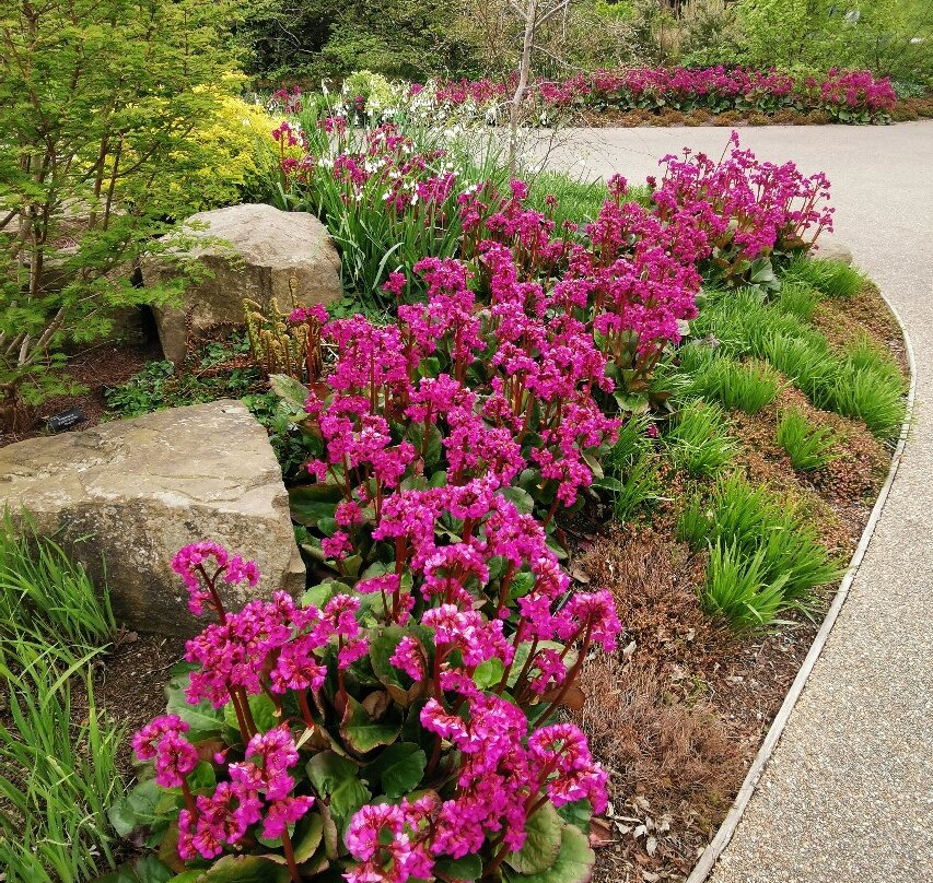 RHS Garden Harlow Carr景点图片