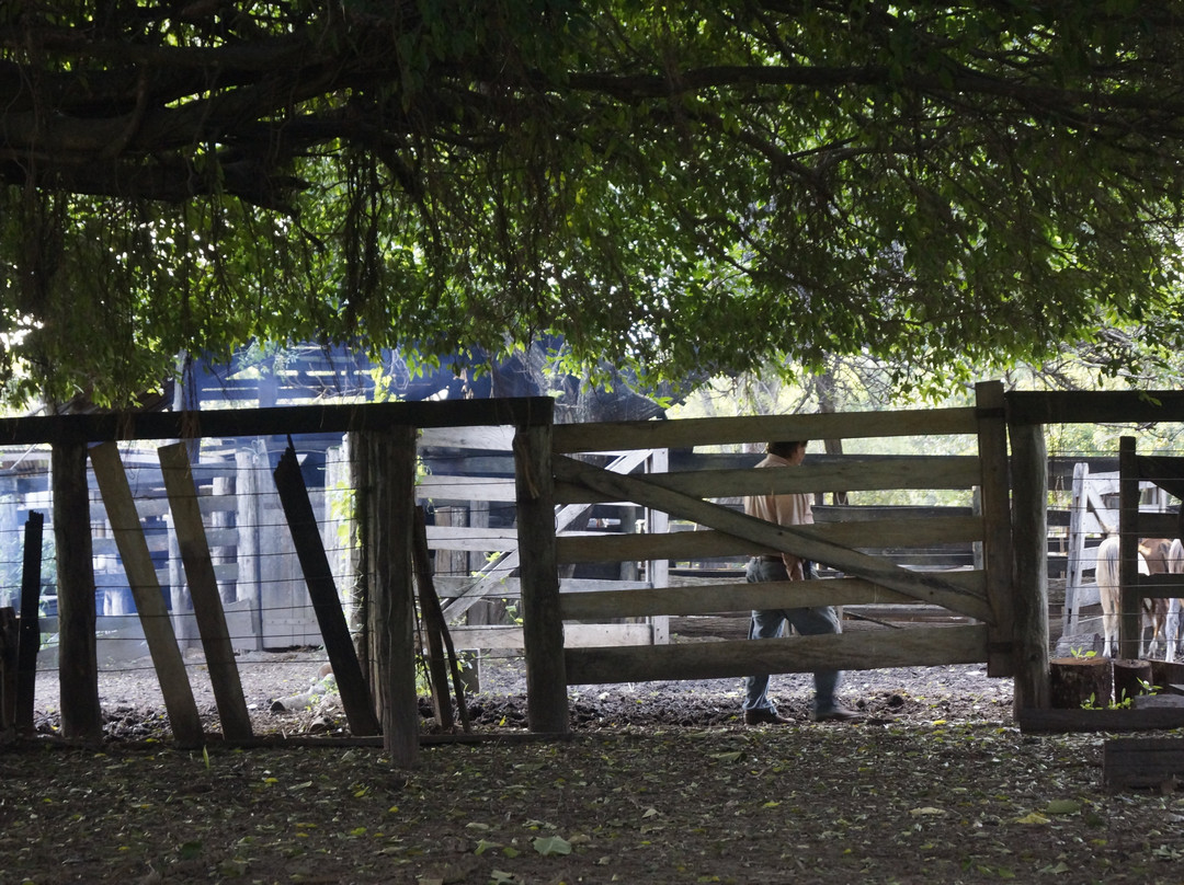 Finca Cacarachi-San Ignacio de Velasco必去景点