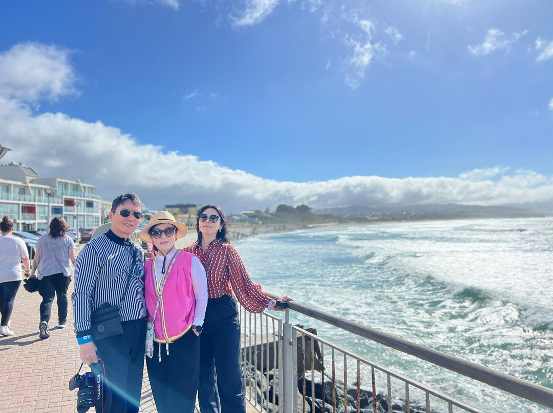 Stevong Travel-奥克兰中心地区必去景点