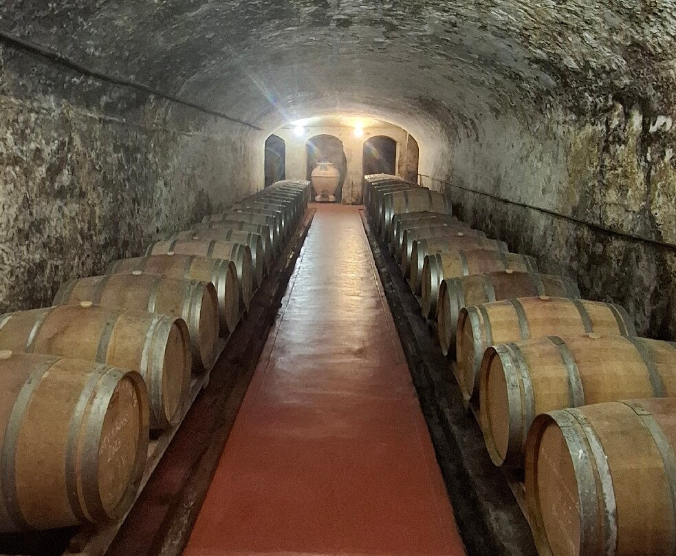 Tenuta Di Ghizzano景点图片