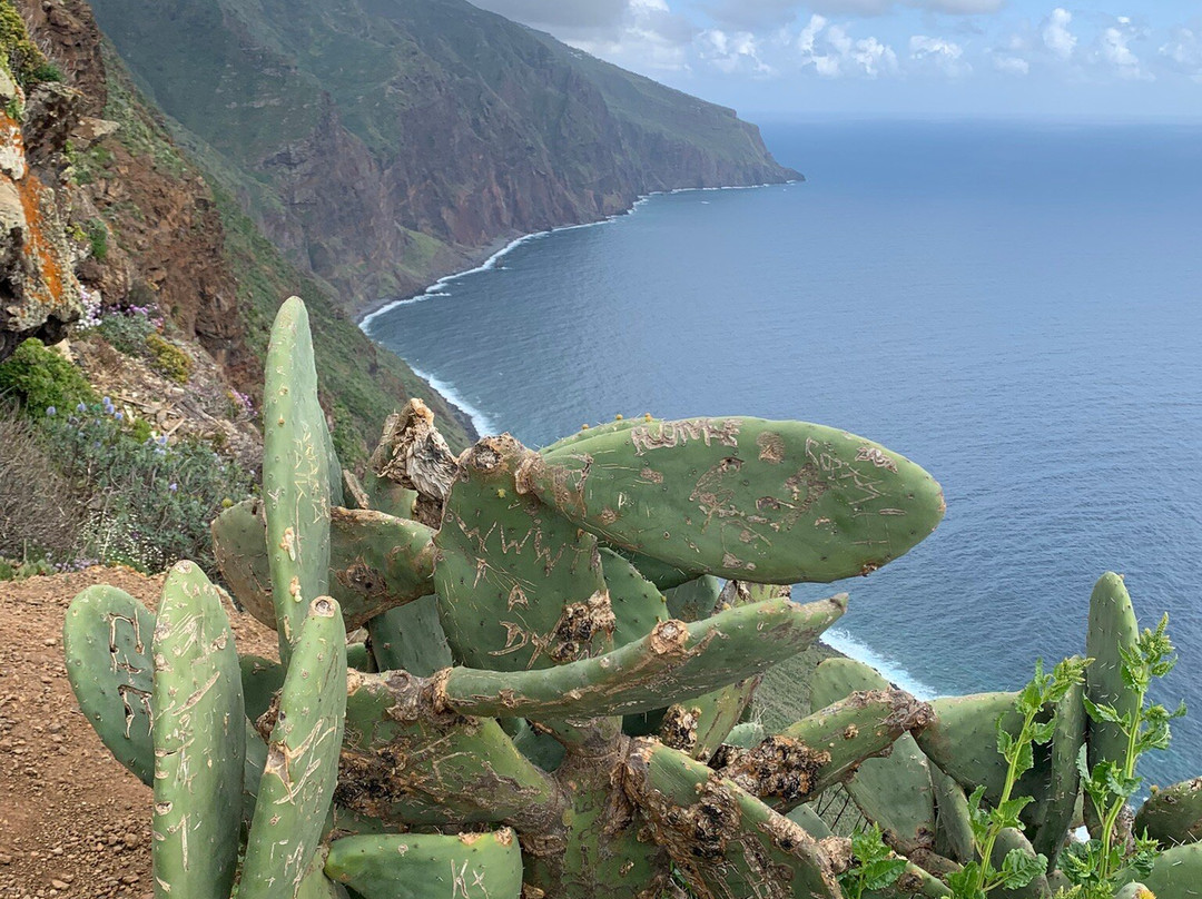 Ponta do Pargo Lighthouse-Ponta do Pargo必去景点