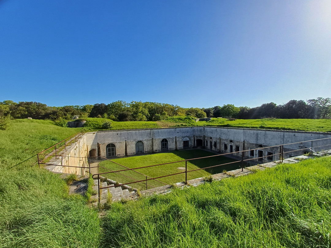 Fort Liédot