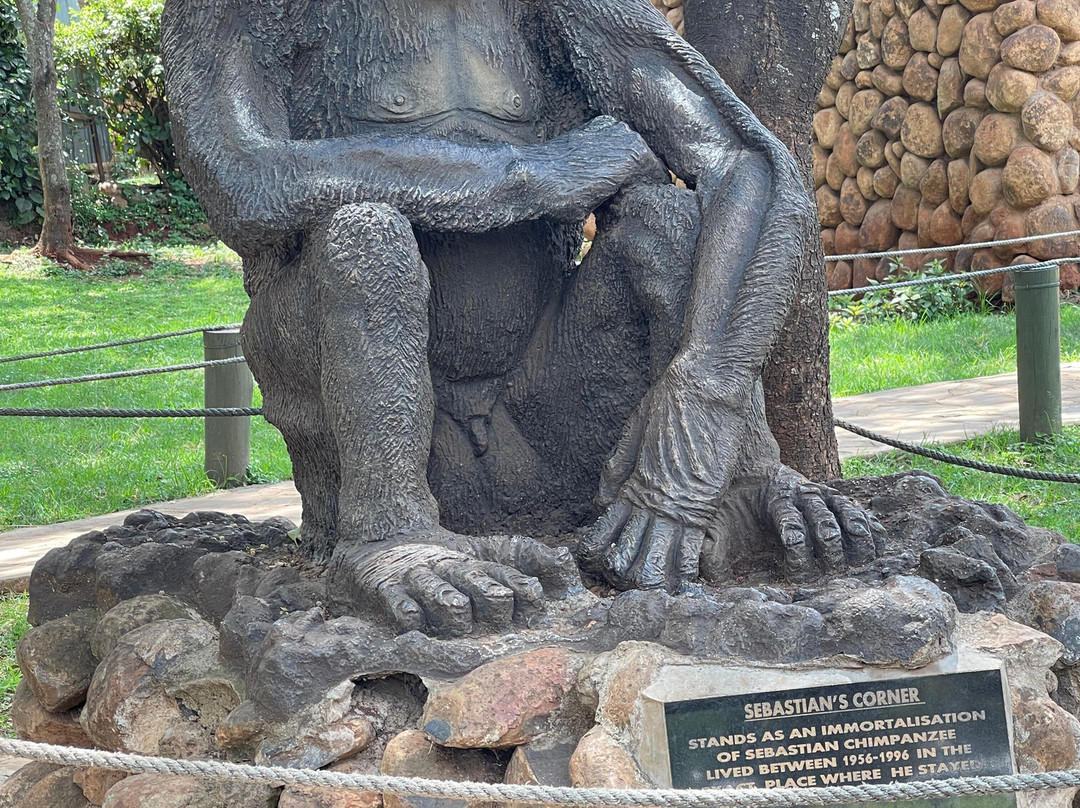 Triptick Travels-内罗毕必去景点