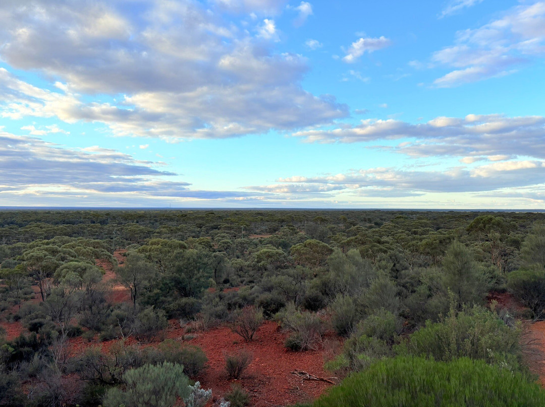 Karlkurla Bushland Park-卡尔古利必去景点