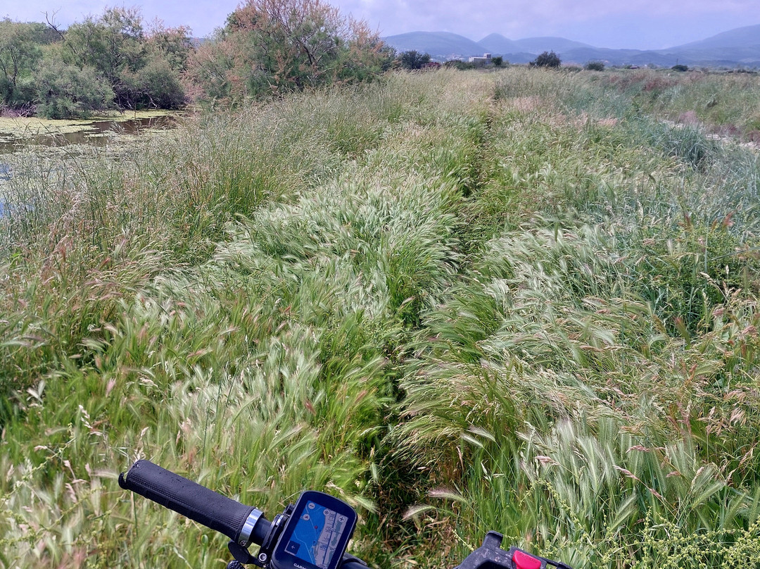 Ulcinj Salina-Ulcinj Municipality必去景点