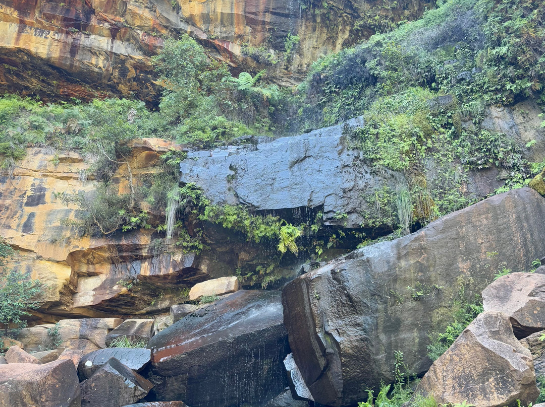 Blackdown Tableland National Park-昆士兰必去景点