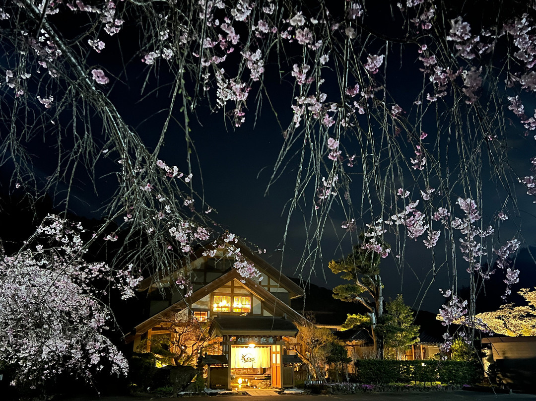 Urijima Onsen Suikouen Sakura