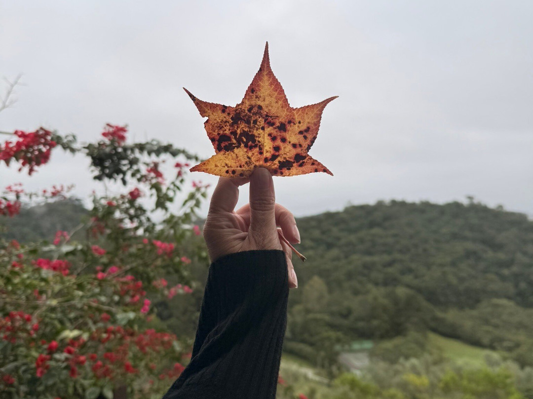 Maua Brasil Hotelaria主图