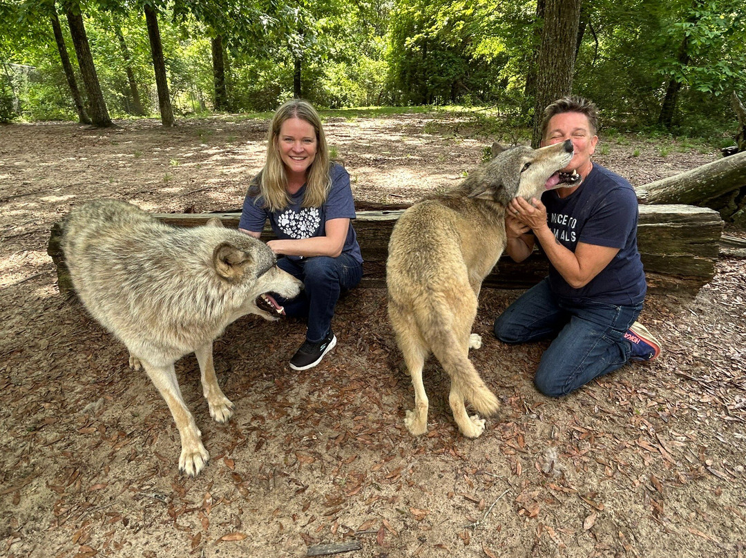 Seacrest Wolf Preserve景点图片