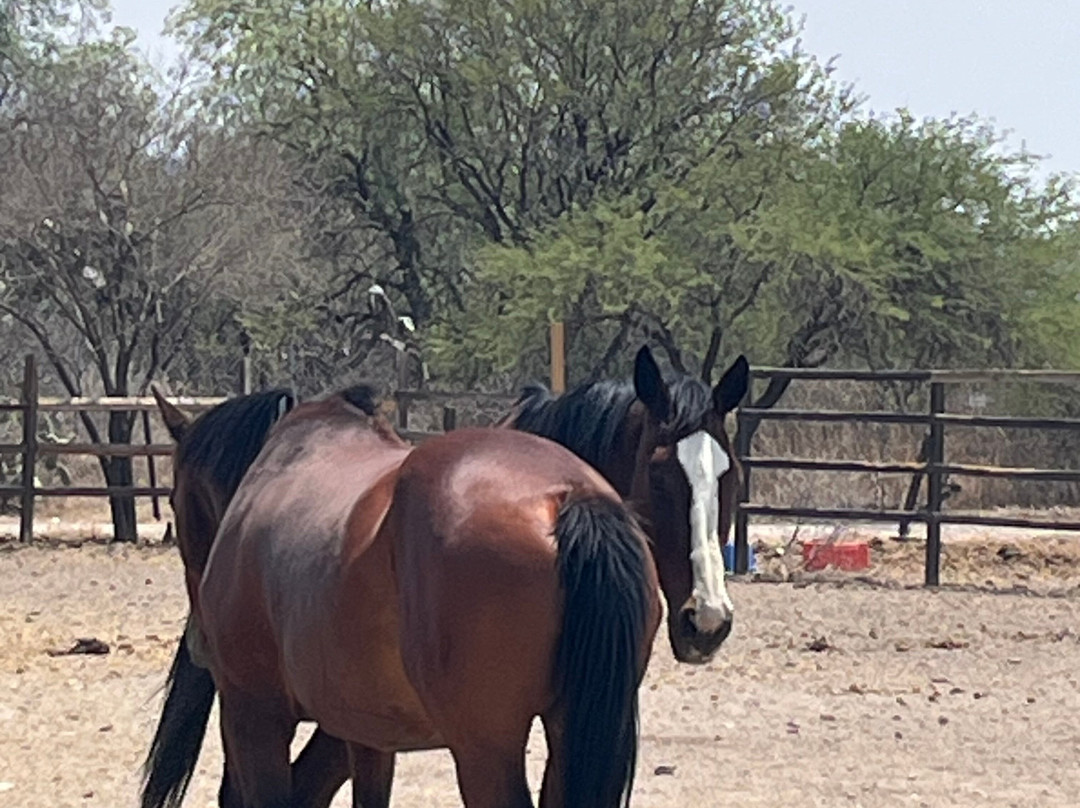 San Juanito-Tequisquiapan必去景点