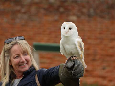 The Hawking Centre-Doddington必去景点