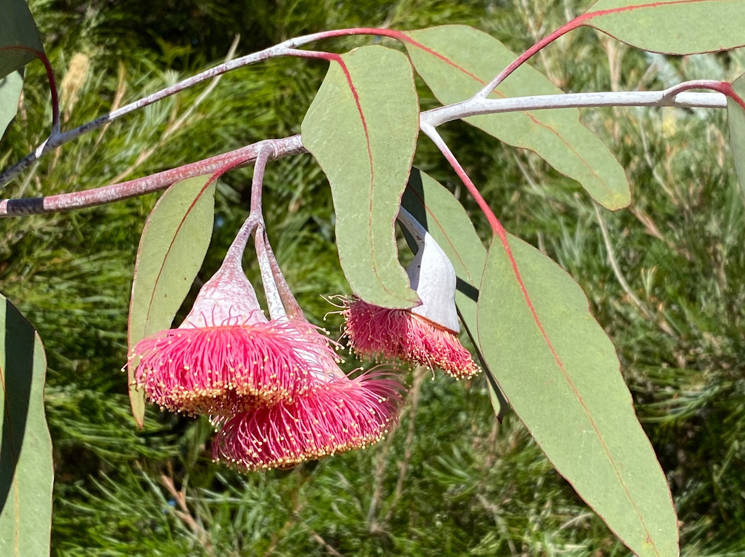 埃尔布利之家住宿加早餐酒店主图