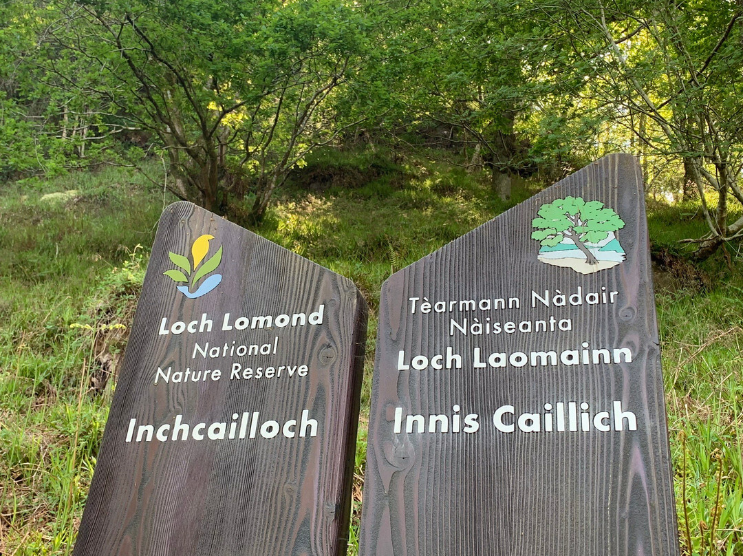 Inchcailloch-Balmaha必去景点