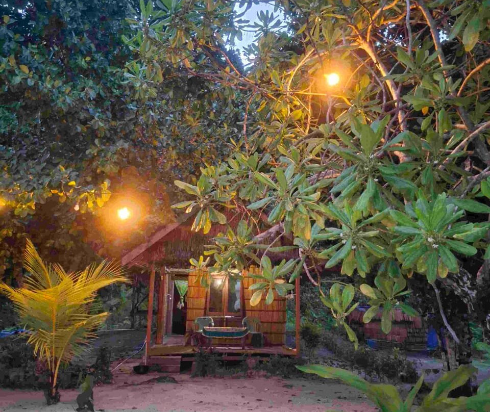 Raja Ampat Diva Homestay主图