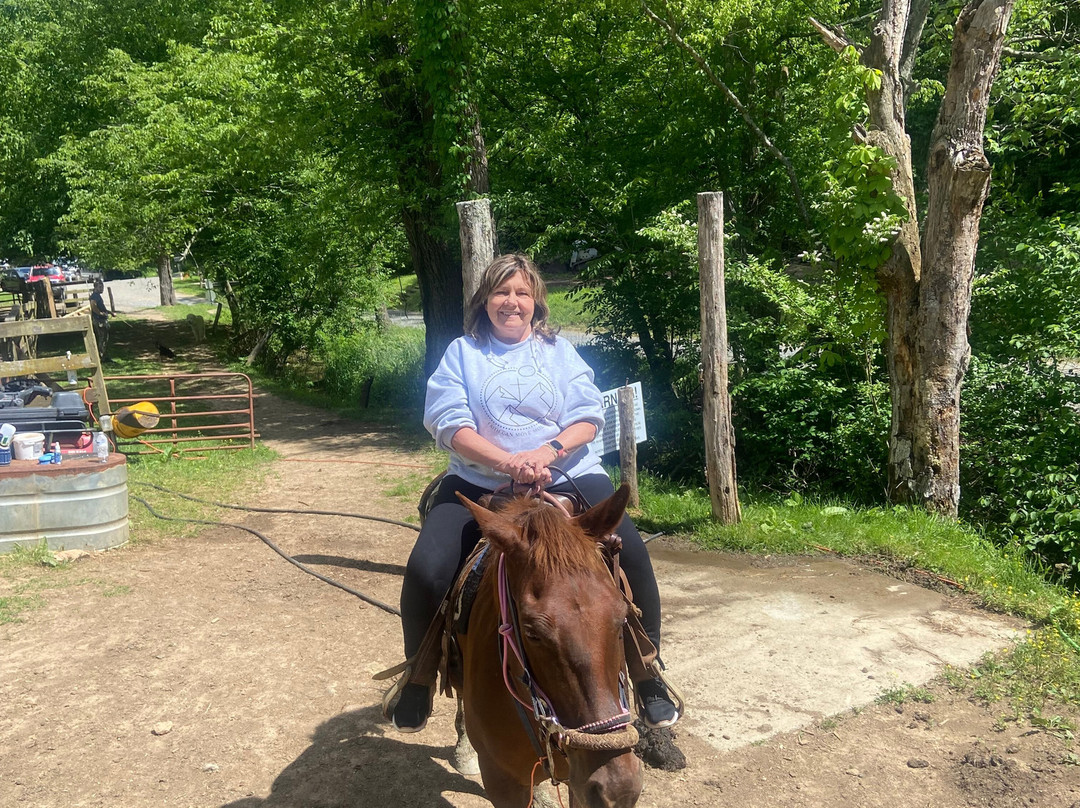 Smoky Mountain Trail Rides and Bison Farm-Marshall必去景点
