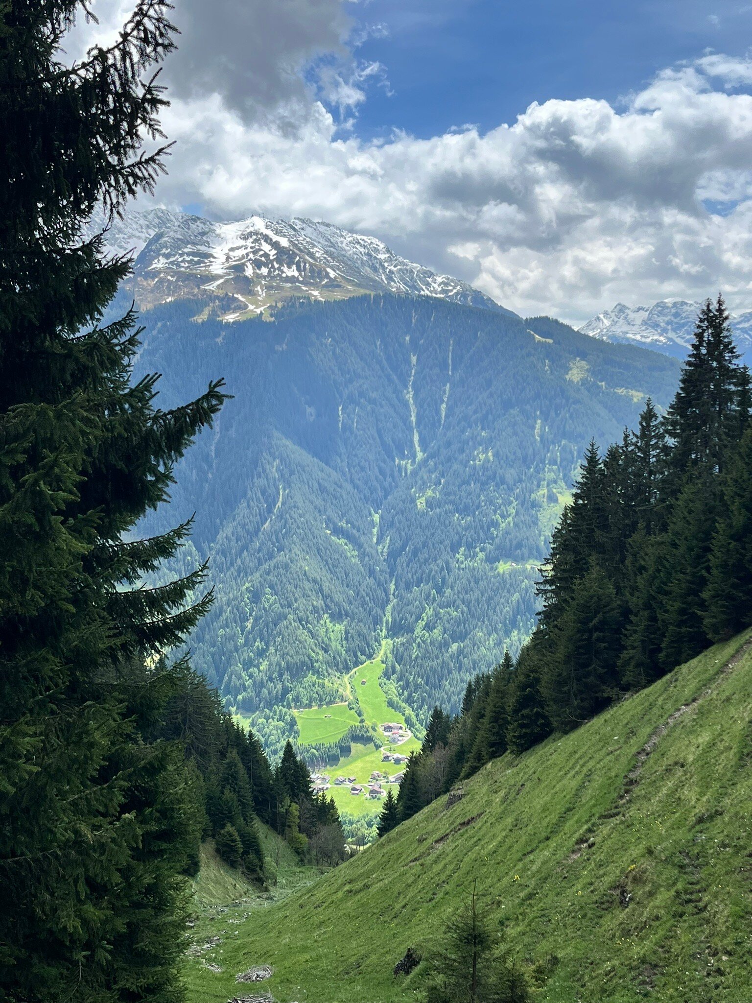 Hotel Fernblick Montafon-官方