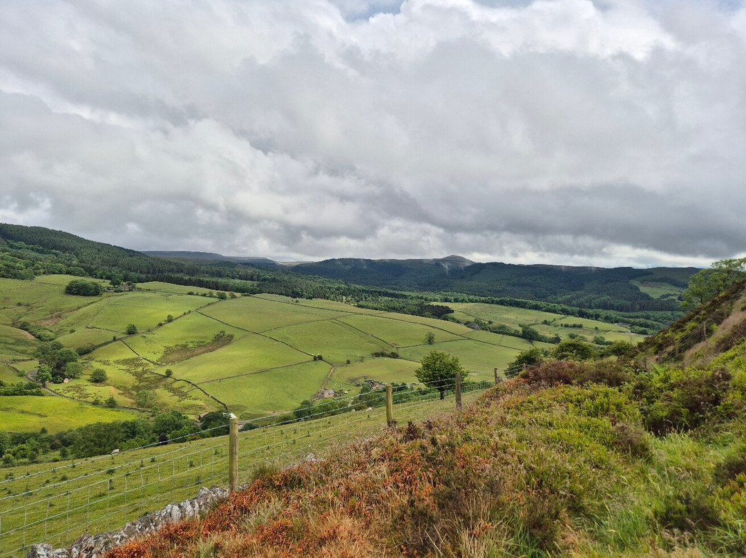 Tegg’s Nose Country Park-麦克尔斯菲尔德必去景点