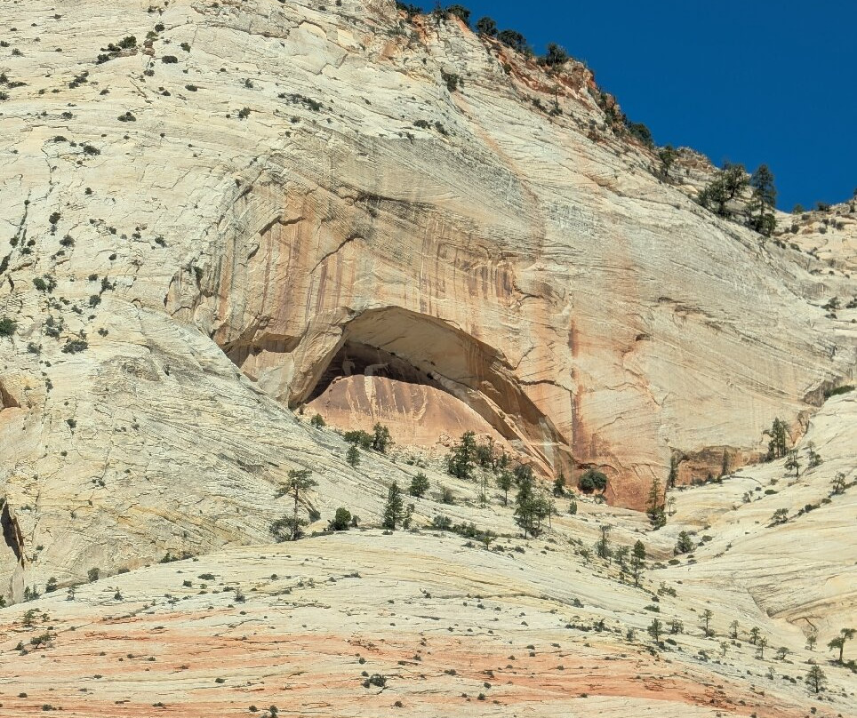 Arizona Scenic Tours - Day Tours-凤凰城必去景点