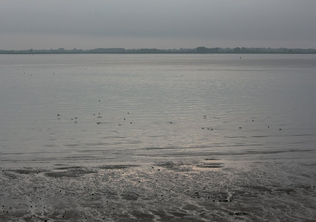 Plage Le Crotoy景点图片