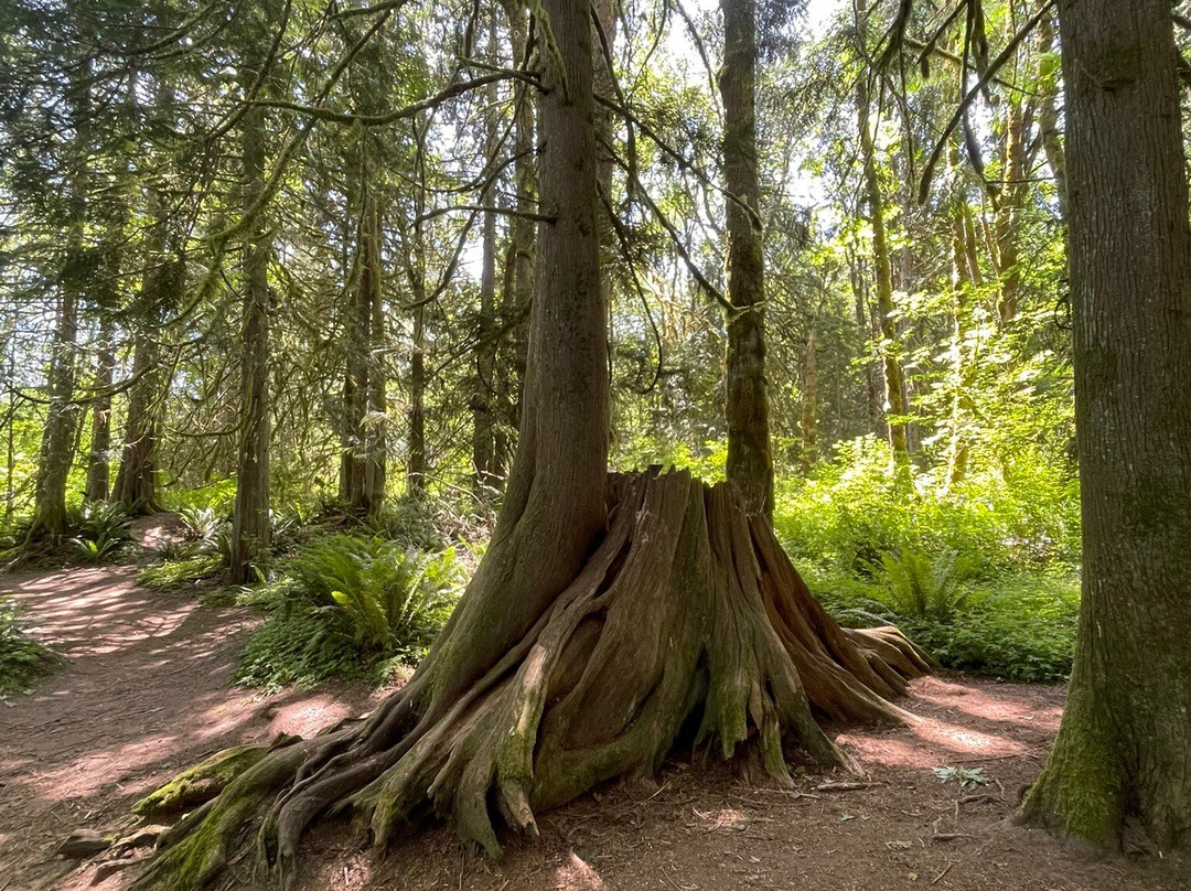 Evans Creek Preserve-雷德蒙德必去景点