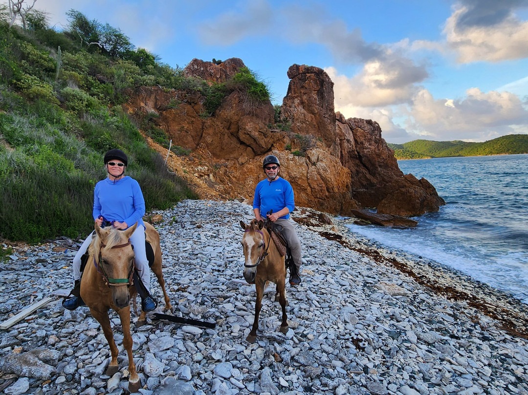 Carolina Corral-Coral Bay必去景点