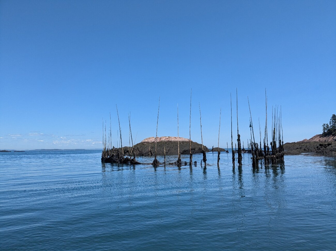 Island Quest Marine景点图片