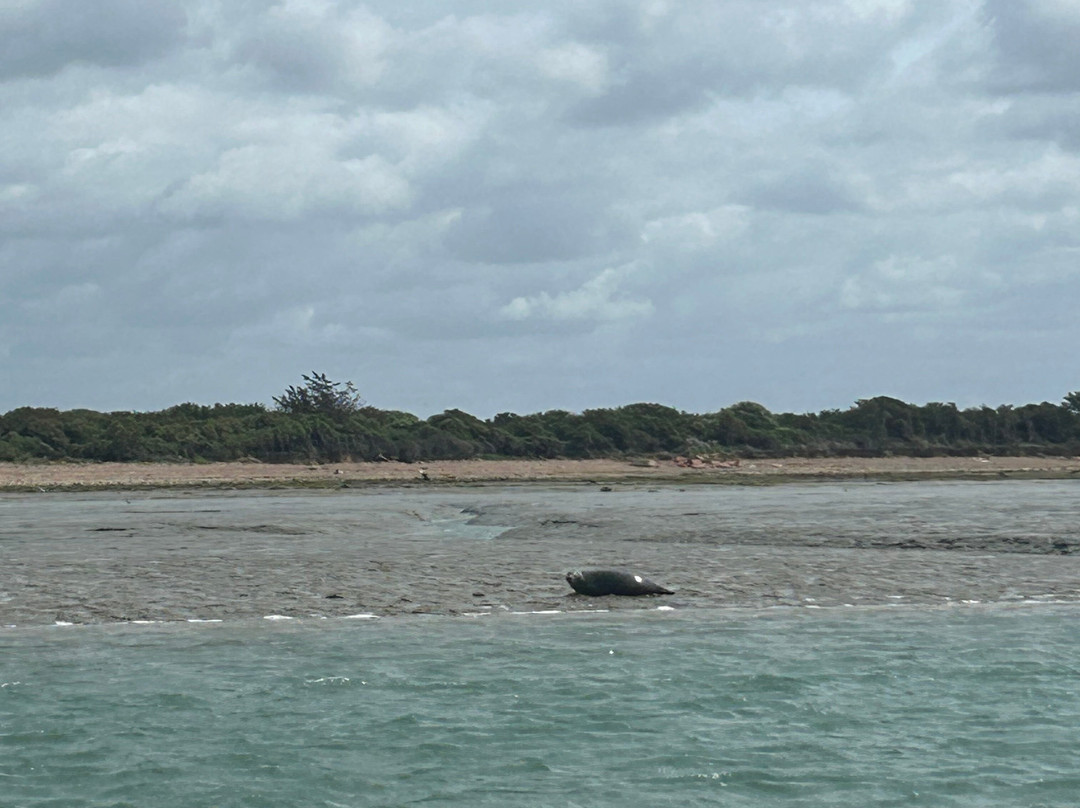 Chichester Harbour Water Tours景点图片