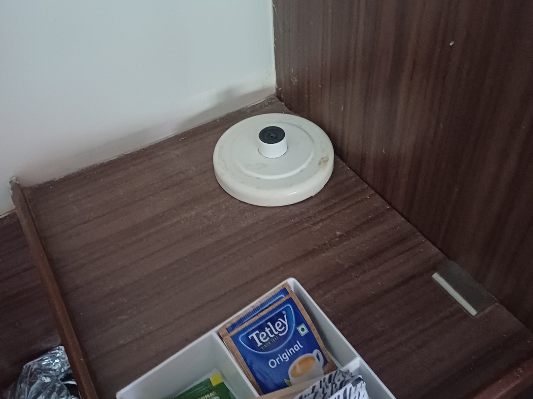 曼加尔生姜酒店主图