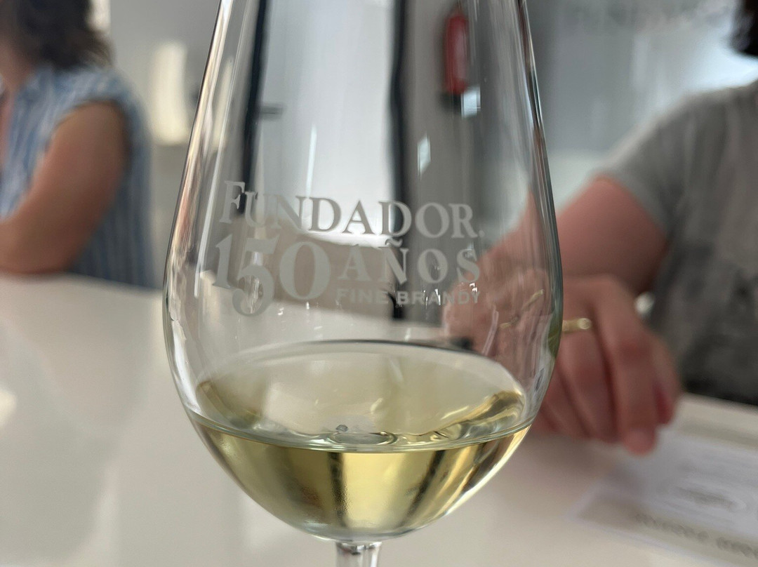 Bodegas Fundador景点图片