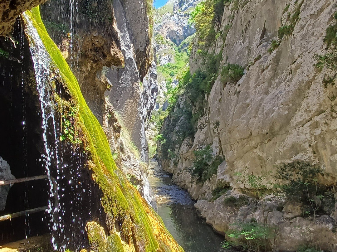 Spain is More-莱昂必去景点