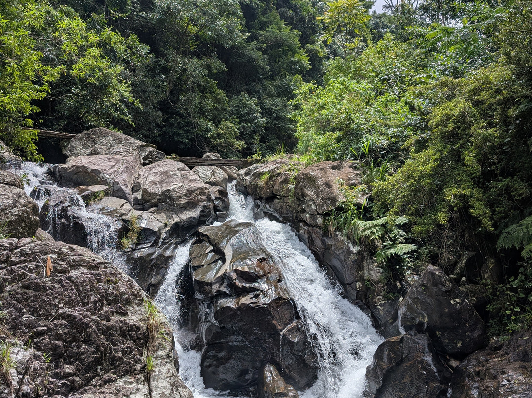 Kandy Trekking Tours景点图片
