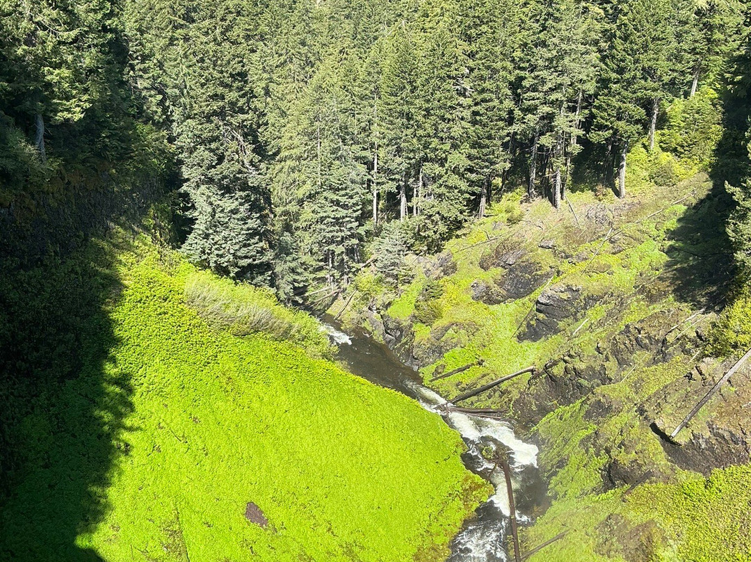 Salt Creek Falls-Oakridge必去景点