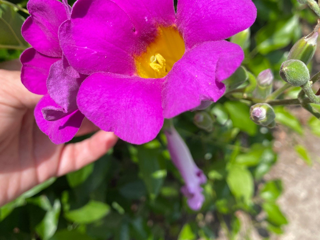 Oso Creek Trail-米逊维耶荷必去景点