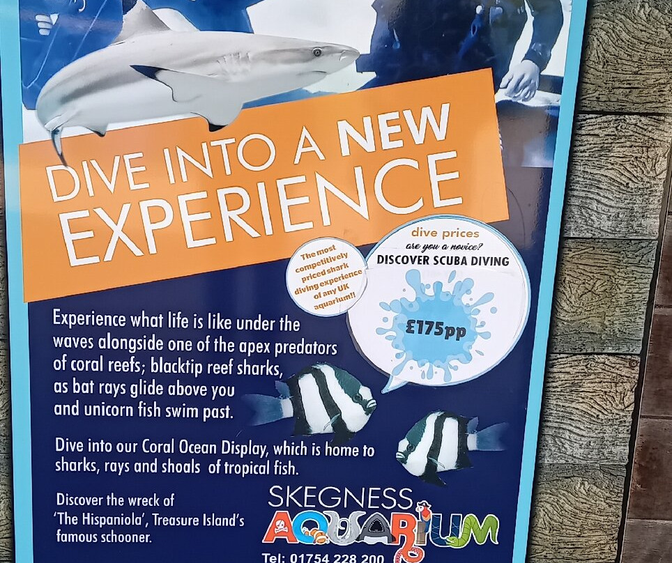 Skegness Aquarium景点图片