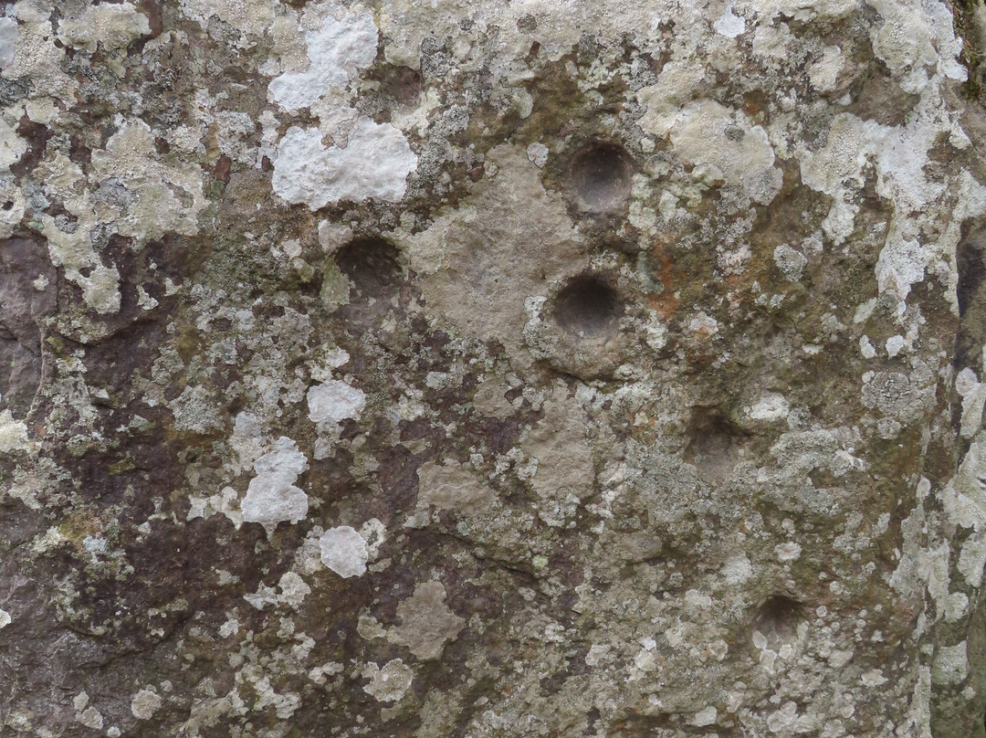 Clava Cairns景点图片