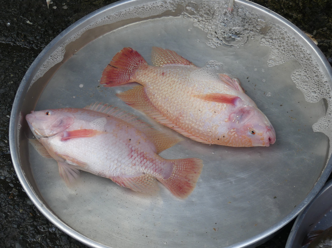 Sa Dec Market-Sa Dec必去景点