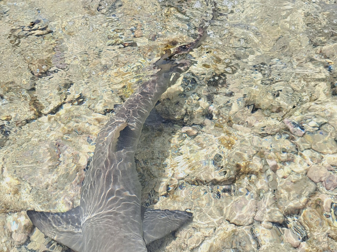 Luna Tours-Murdeira必去景点